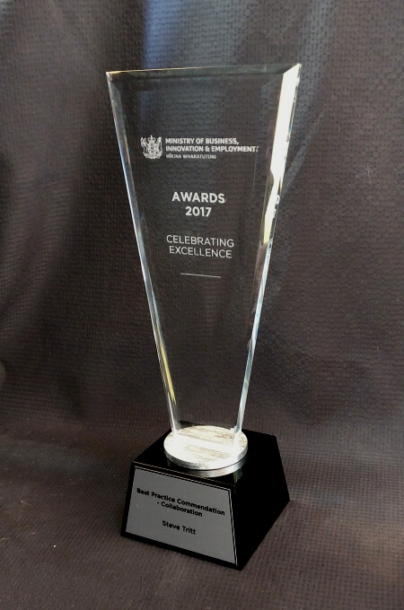 Business awards trophy