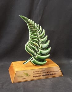 Green fern trophy