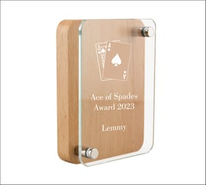 Acrylic and Wood radius award