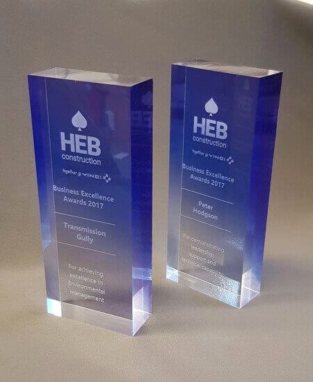 Business Award Trophy